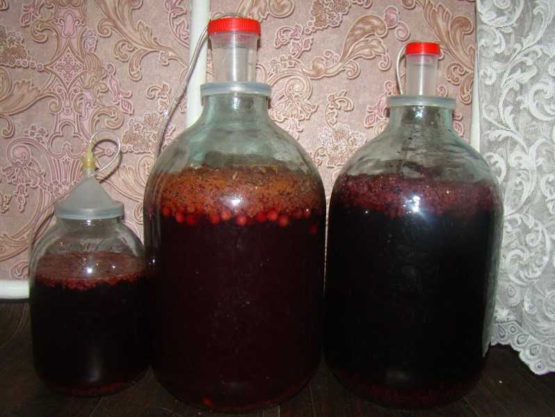 Топ 13 пошаговых рецептов приготовления вина из сливы в домашних условиях