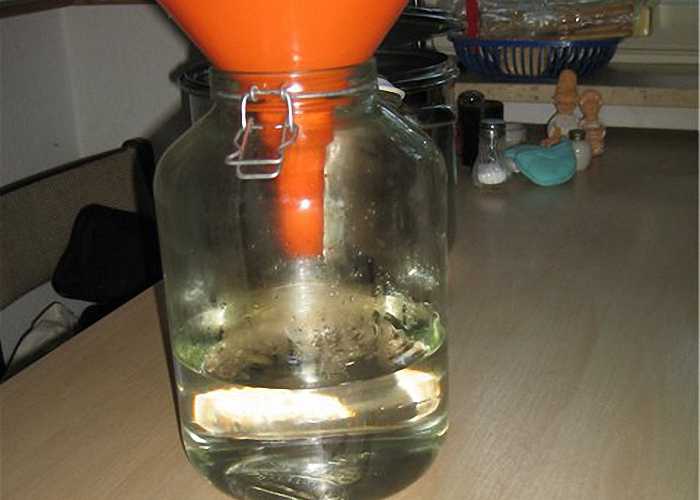 Классический рецепт самогона из березового сока