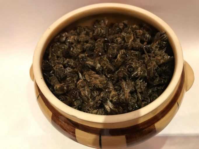 Подмор пчелиный: рецепт и применение настойки на спирту, воде и водке