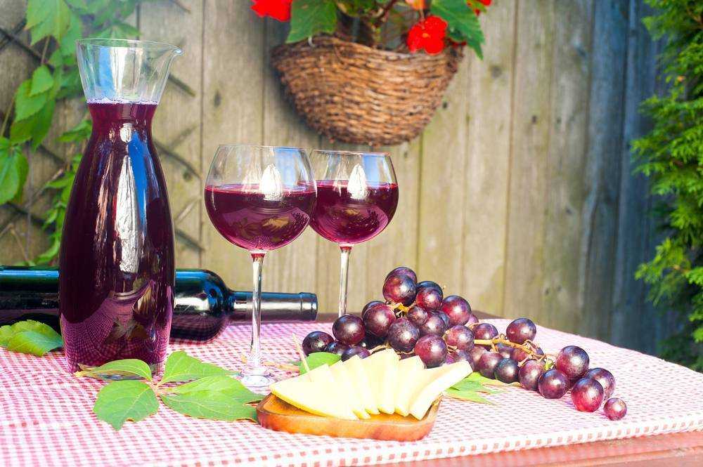 Домашнее вино: простые рецепты приготовления благородного напитка своими руками