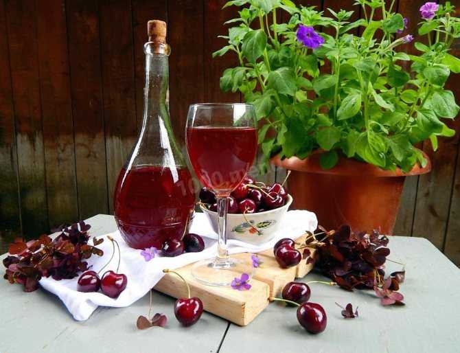 Вино из вишни в домашних условиях с косточками: простой рецепт
