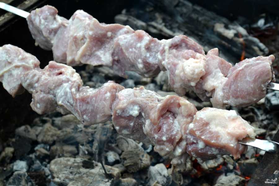 Шашлык на кефире из свинины, 25 вкусных рецептов маринада шашлыков