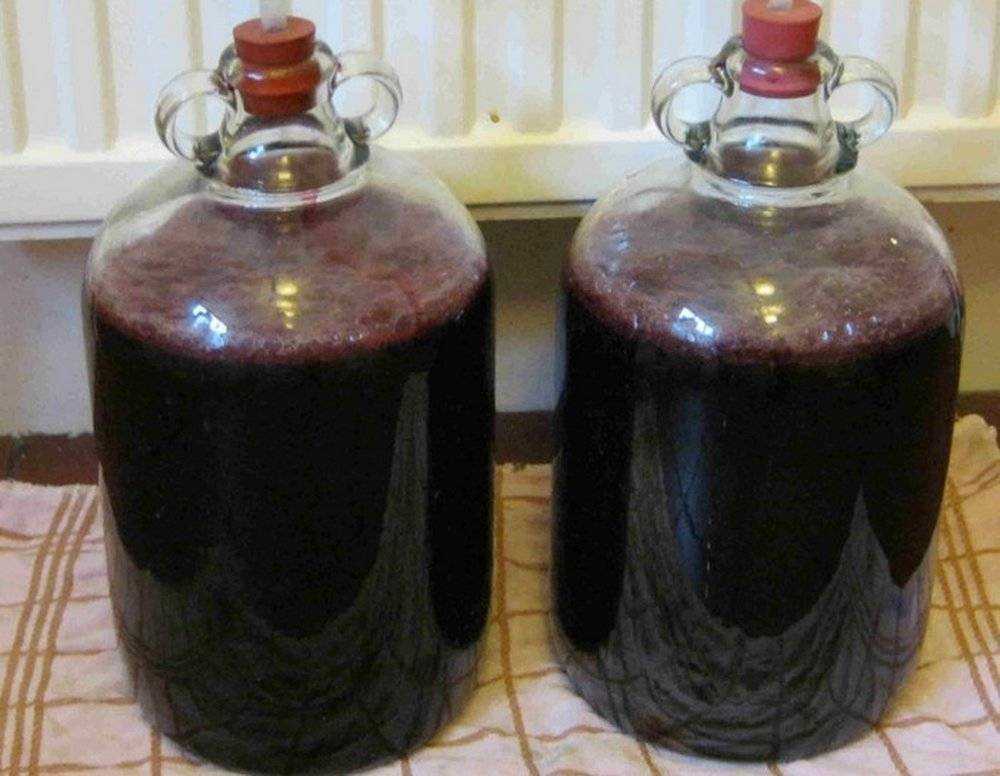 Домашнее вино из винограда: классический пошаговый рецепт