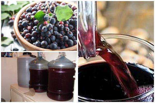 Вино из ирги: лучшие рецепты приготовления в домашних условиях