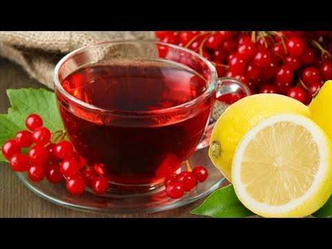 Калиновый чай: полезные свойства, особенности применения
