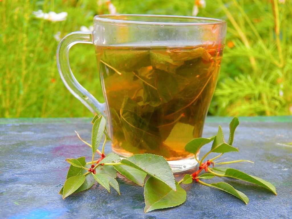 Ферментированный чай из листьев клубники рецепт с фото - 1000.menu