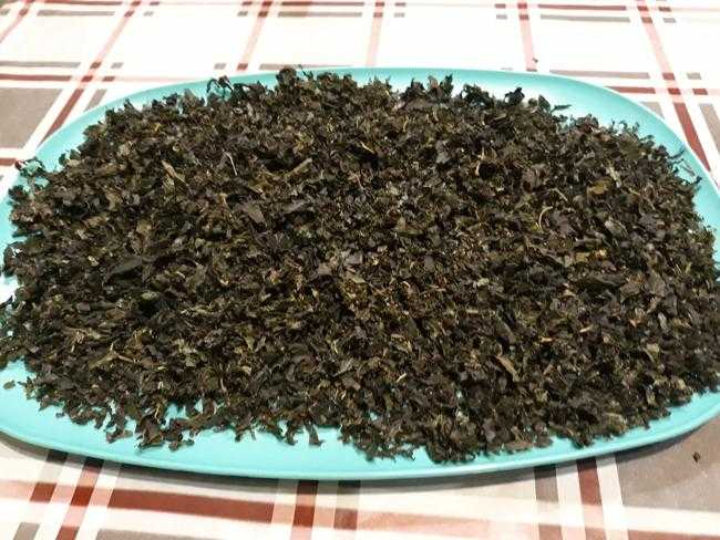 Ферментация листьев смородины: как ферментировать смородиновую зелень для чая в домашних условиях