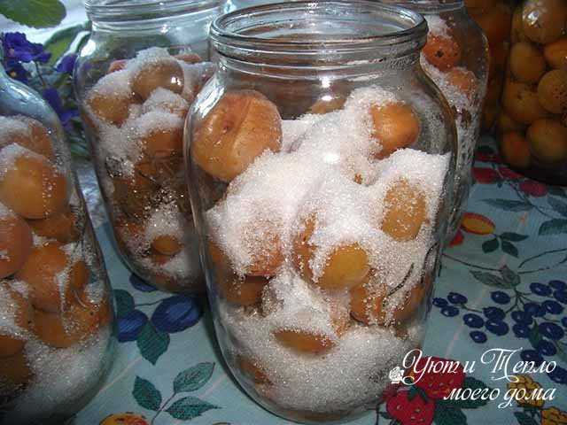 Компот из абрикосов на зиму рецепт приготовления