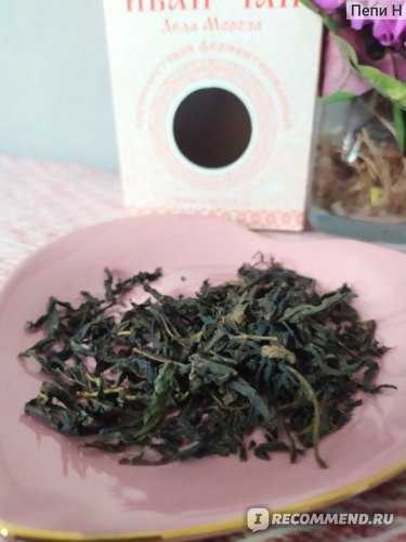 Иван-чай (копорский чай) или чай кипрей