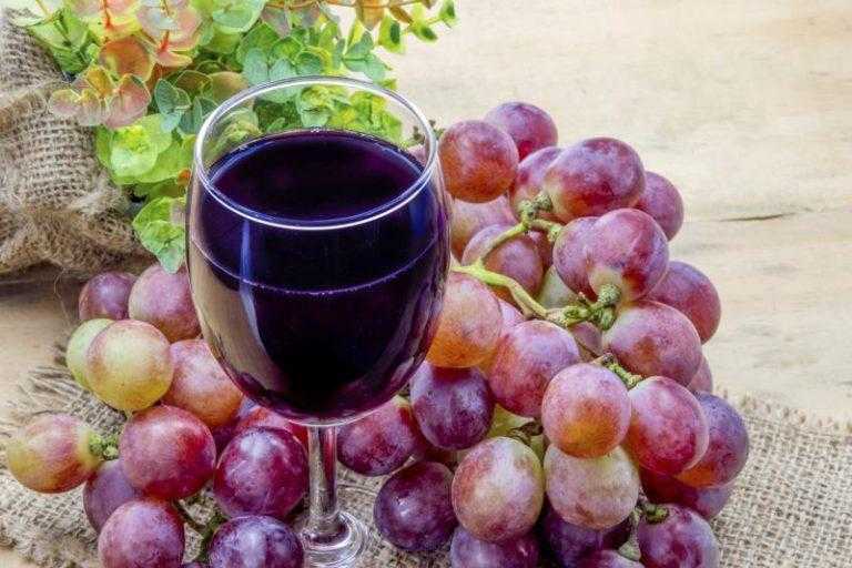 4 простых рецепта приготовления вина из зеленого винограда в домашних условиях