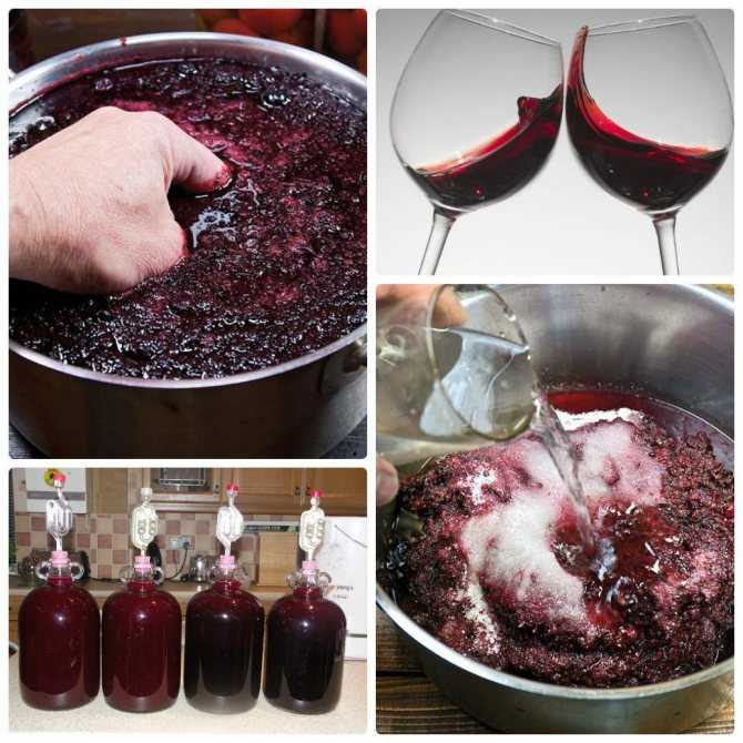 Топ-3 рецепта - домашнее вино из винограда изабелла - krrot.net