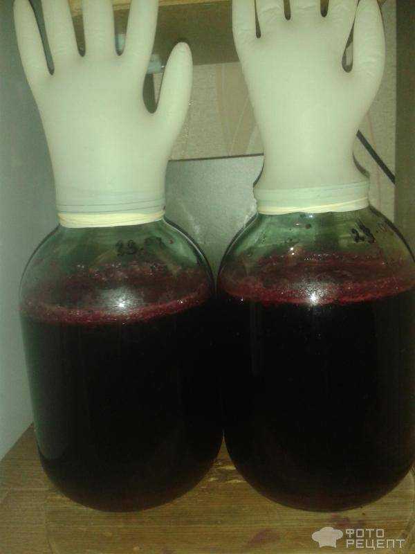 Вино из черноплодной рябины (аронии) в домашних условиях