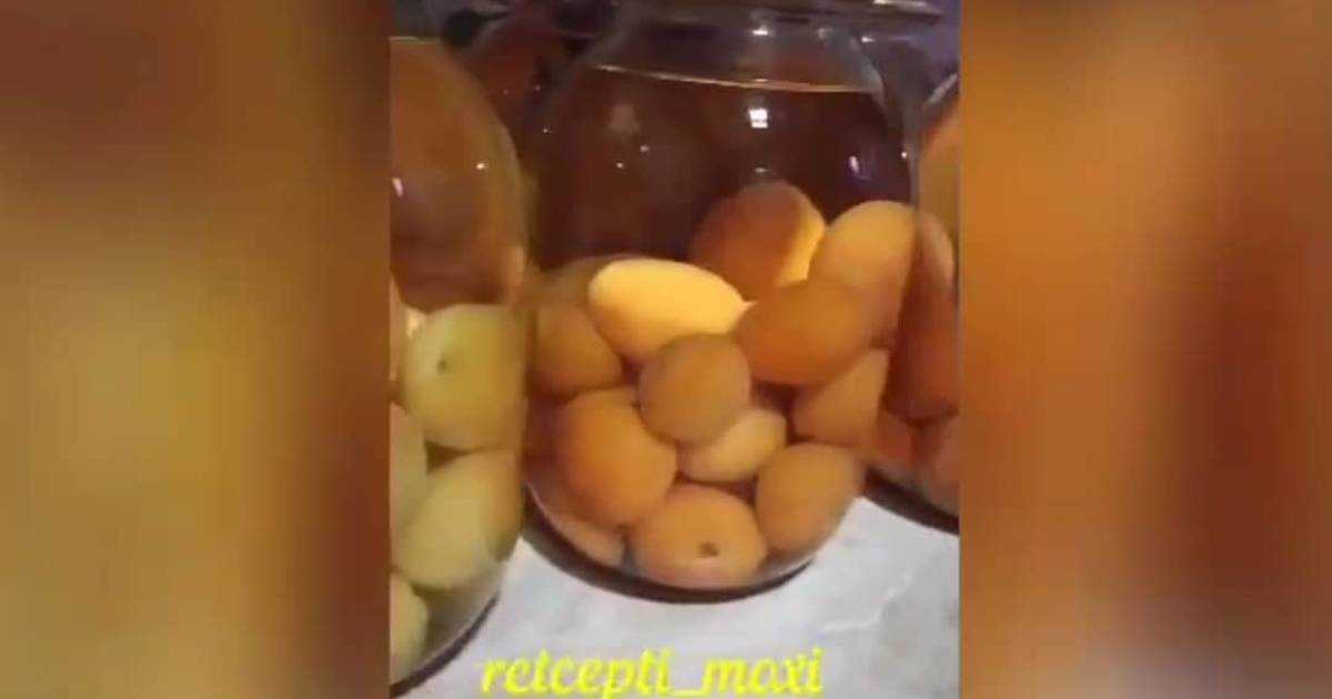 Брага из абрикосов – как её сделать правильно? ингредиенты, рецепты и рекомендации по приготовлению браги из абрикосов