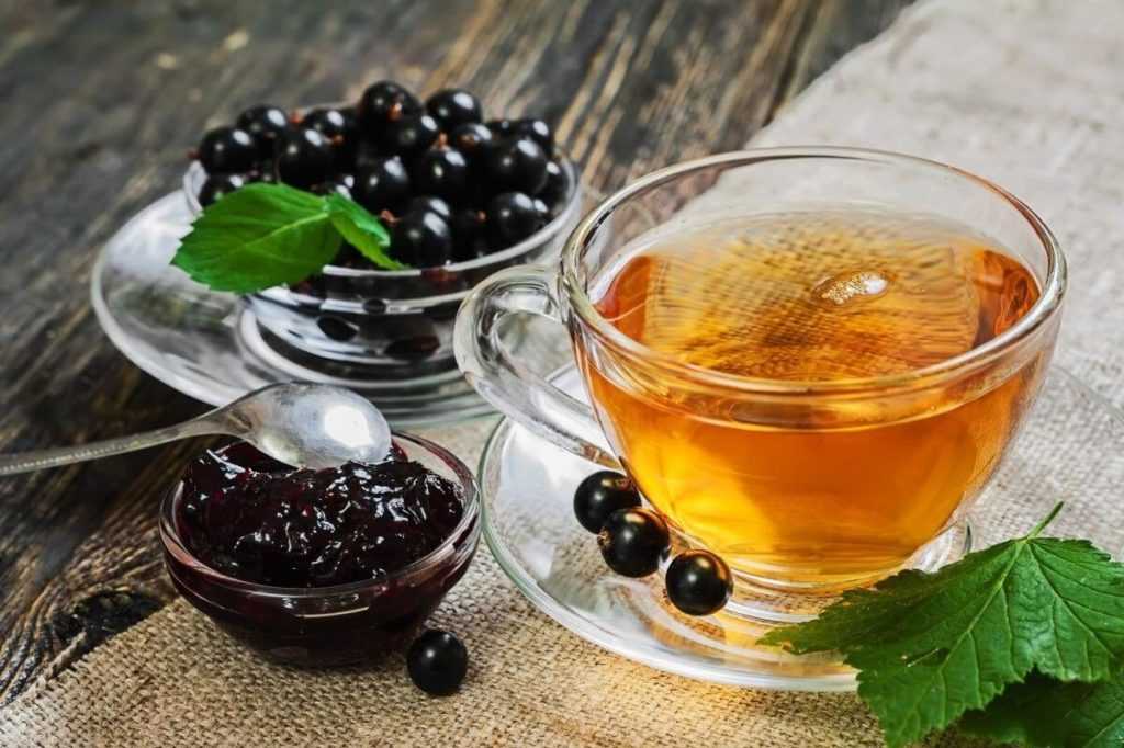 Польза и вред чая из малиновых листьев