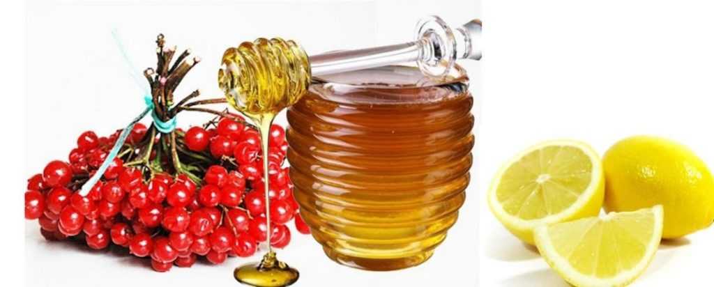 Калина с медом: рецепты от кашля - огород, сад, балкон - медиаплатформа миртесен