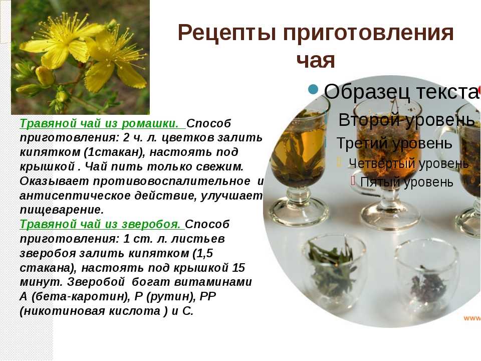 Трава иван чай. лечебные свойства. применение. противопоказания