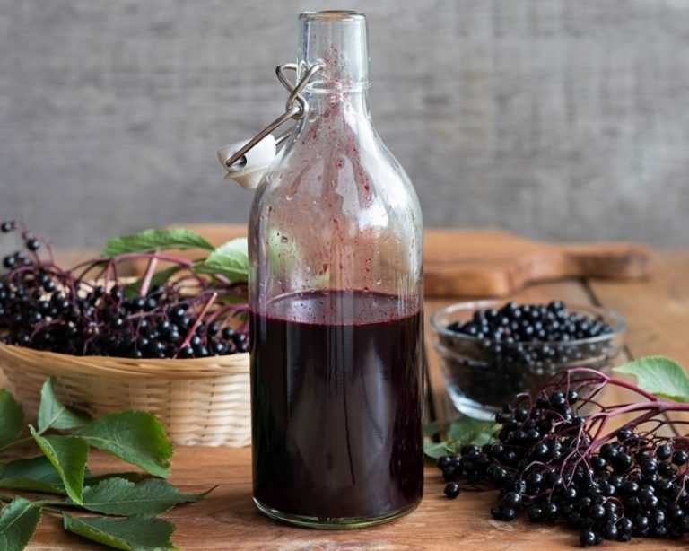 Сочетание вкуса черноплодной рябины и винограда. рецепт вина