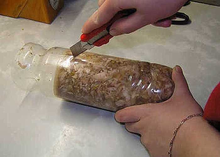 Бисквитный рулет с желе - пошаговый рецепт приготовления с фото