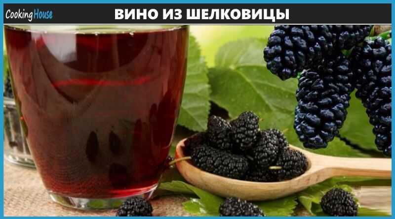 Вино из шелковицы - оригинальные рецепты необычного домашнего алкоголя