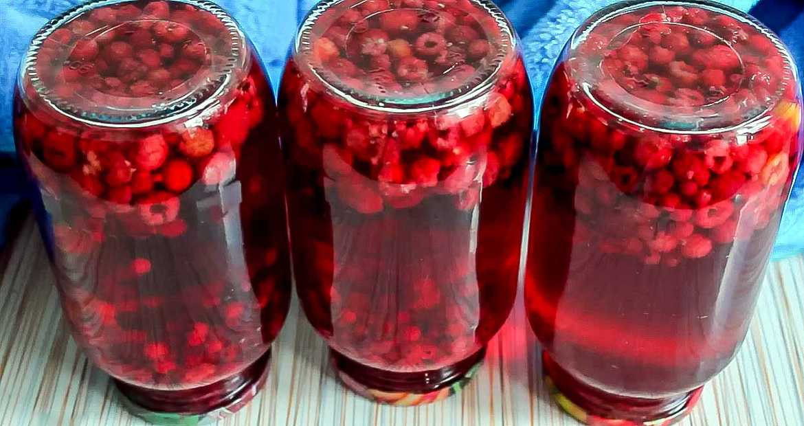 Компот из вишни и красной (черной) смородины: простые рецепты с фото