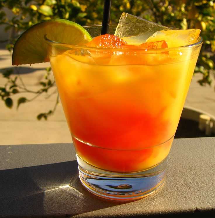 Апельсиновые алкогольные коктейли: простые рецепты – как правильно пить