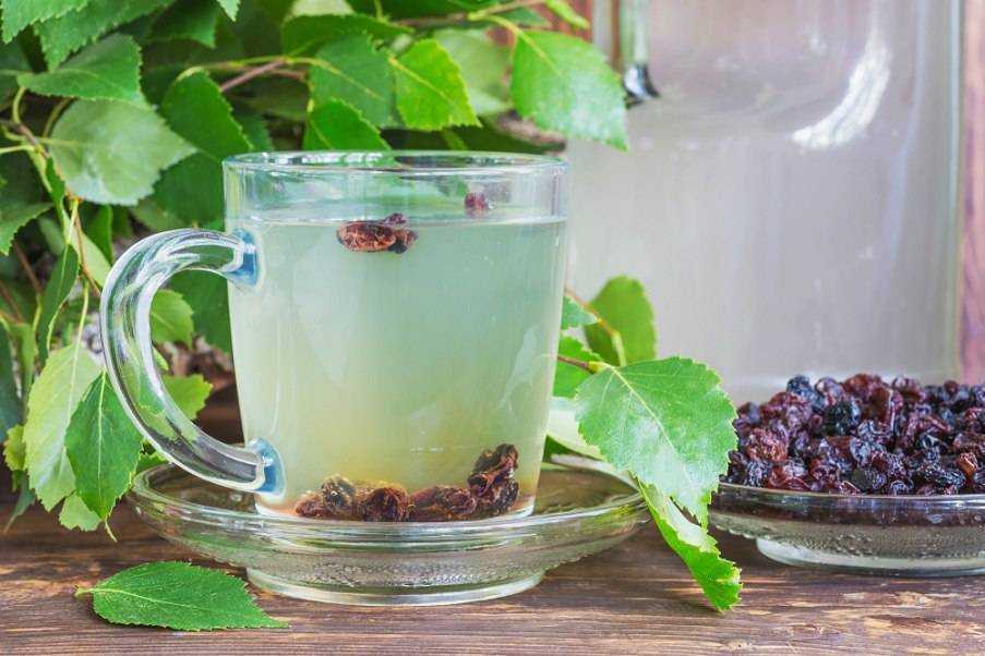 Березовый чай: польза и вред, рецепты с листьями и почками березы