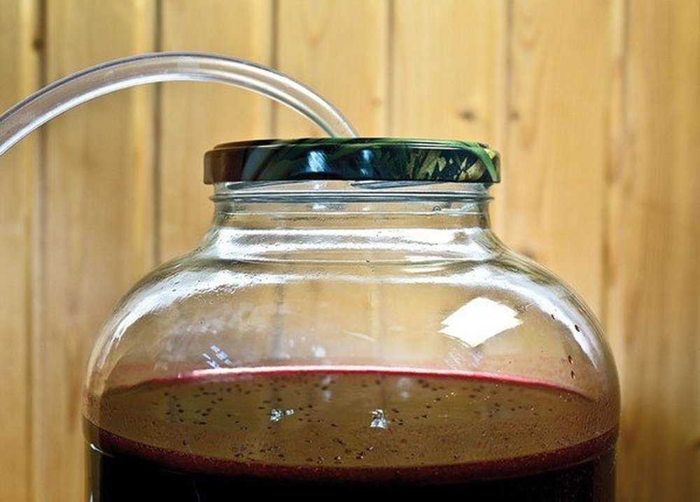Вино из чёрной и красной смородины в домашних условиях - 6 рецептов