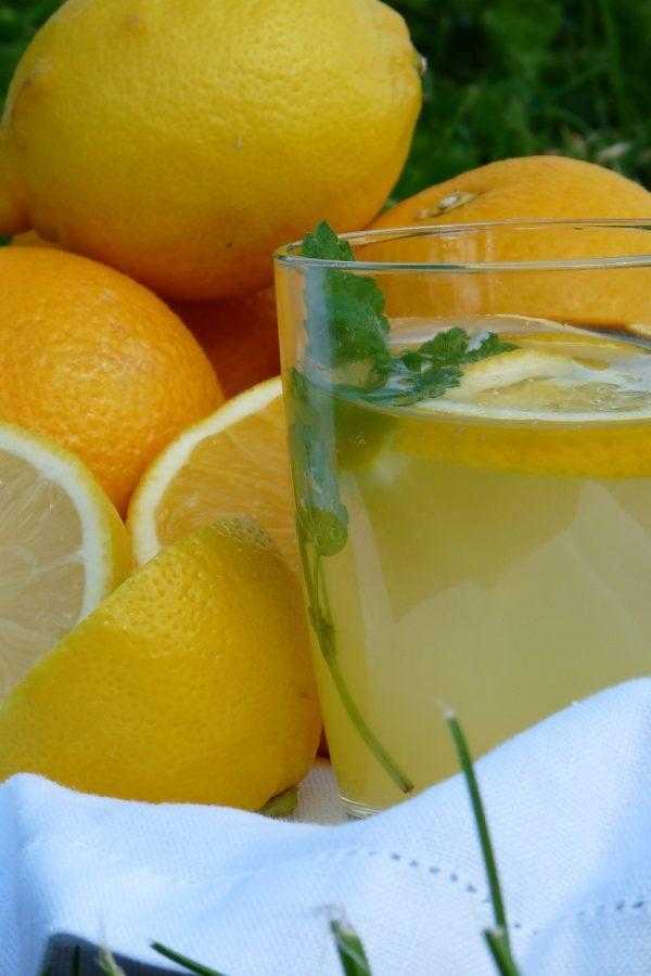 Имбирный лимонад с яблоками и лимонами