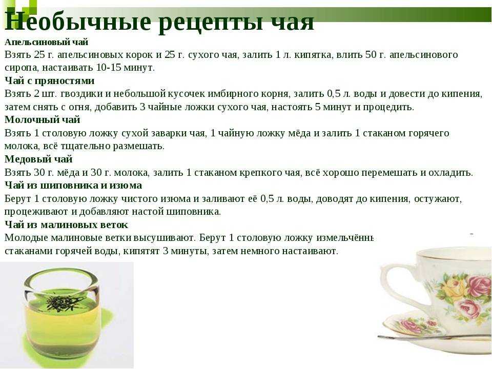 Трава иван чай (кипрей) лечебные свойства
