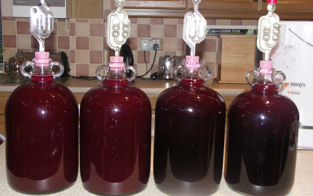 Вино из вишни в домашних условиях: простой рецепт пошагового приготовления