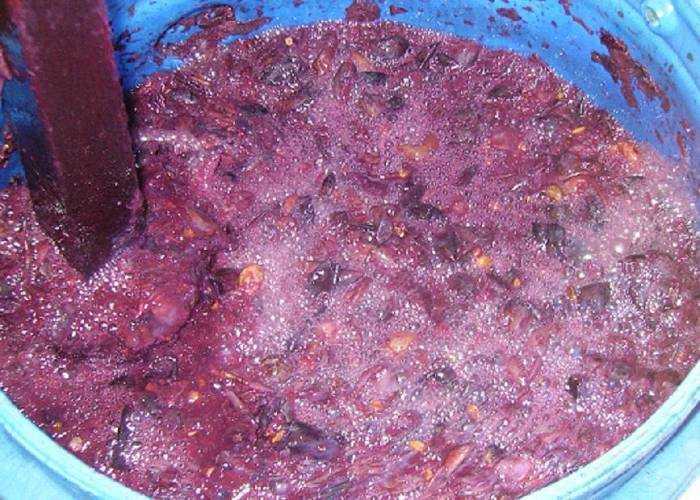 Как приготовить брагу из виноградного жмыха с дрожжами: поиск по ингредиентам, советы, отзывы, пошаговые фото, подсчет калорий, удобная печать, изменение порций, похожие рецепты