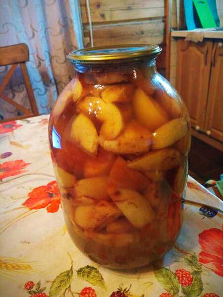 Компот из сушеных яблок - как приготовить в кастрюле или мультиварке по рецептам с фото