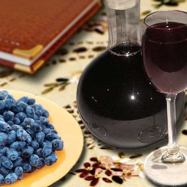 Как сделать вино из терна в домашних условиях. рецепты приготовления домашнего вина из терна пошагово с фото. как сделать вино из терна в домашних условиях