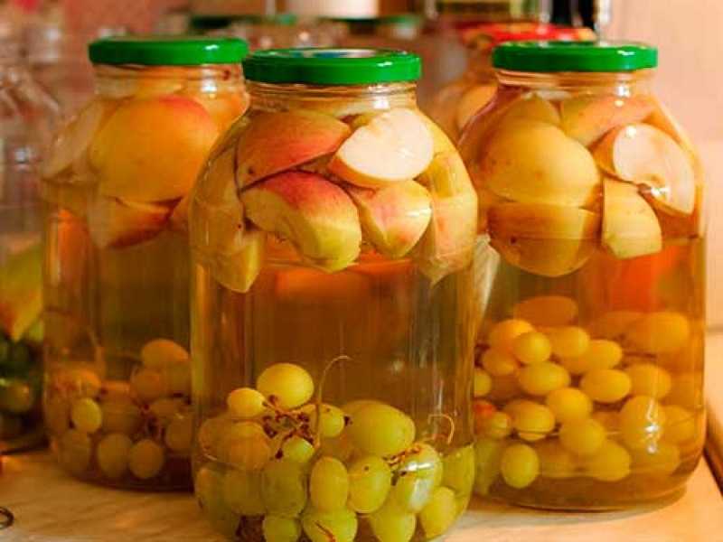 Виноградный компот — 5 фото рецептов вкуснейшего компота из винограда за зиму