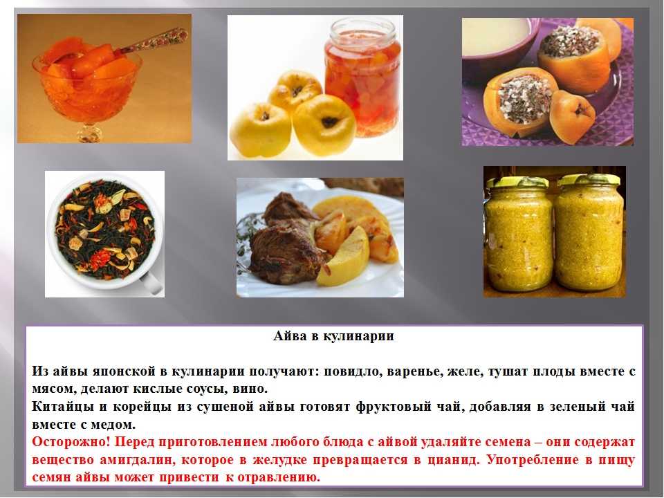 Запеченная айва с грецкими орехами  горячий десерт рецепт с фото пошагово - 1000.menu