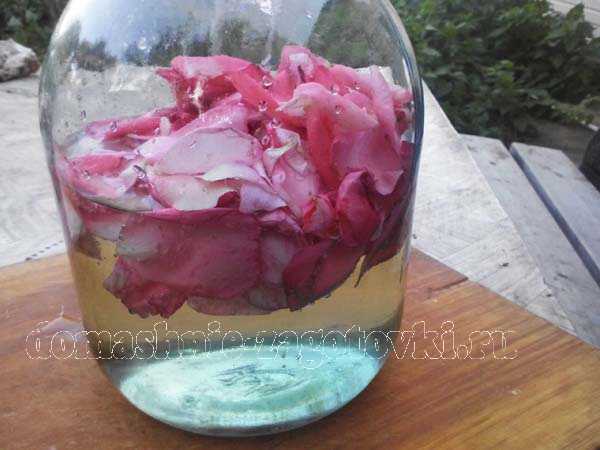 Розовое вино сухое, игристое или полусладкое - как приготовить в дома из винограда или лепестков розы с фото