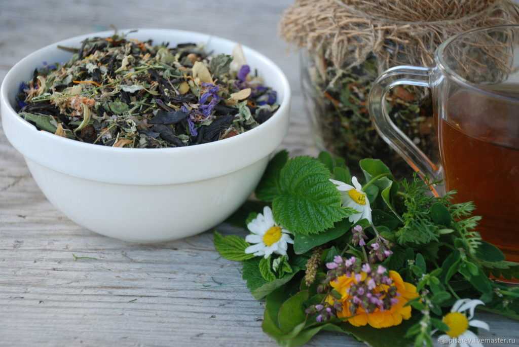 Чай из душицы - рецепты заваривания и польза - целебные травы
