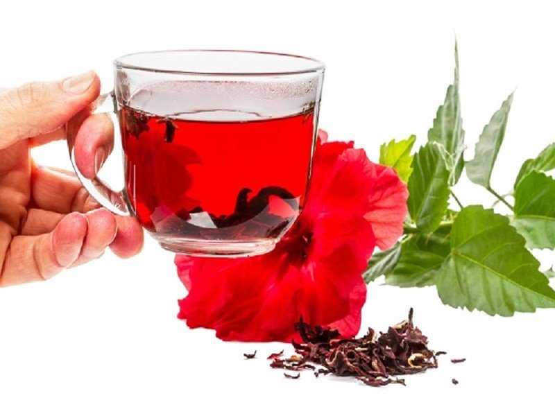 Чай из чайной розы полезные свойства и противопоказания