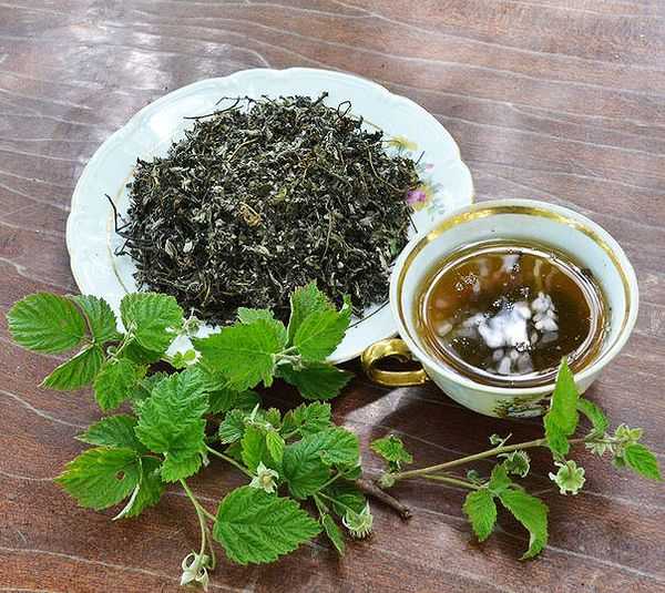 Травяной чай из листьев, плодов и корней растений, рецепты чая из плодов шиповника, черной смородины, малины, земляники, ежевики.
