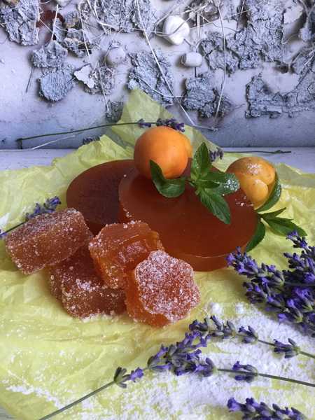Мармелад из абрикосов на агар-агаре - пошаговый рецепт приготовления с фото