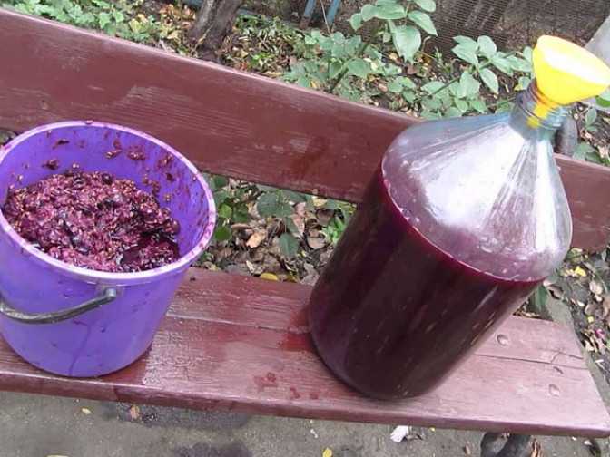 Самогон из виноградной мезги: брага в домашних условиях по рецепту, а также как приготовить ягоды для вторичного использования после отжима и сделать перегонку?