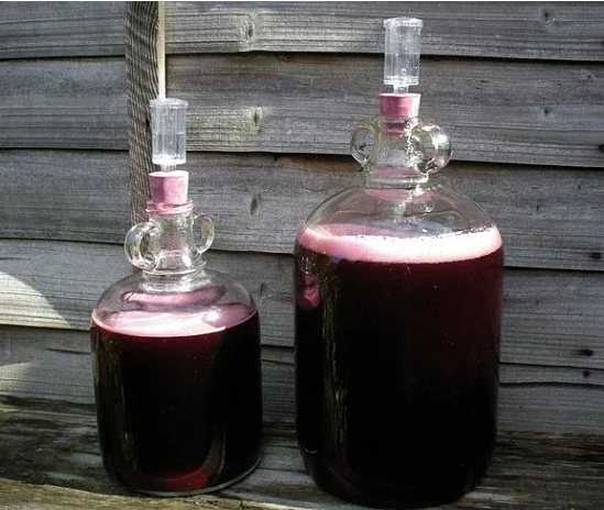 Вино из черной смородины в домашних условиях: простой рецепт, без дрожжей, быстрый рецепт, из варенья