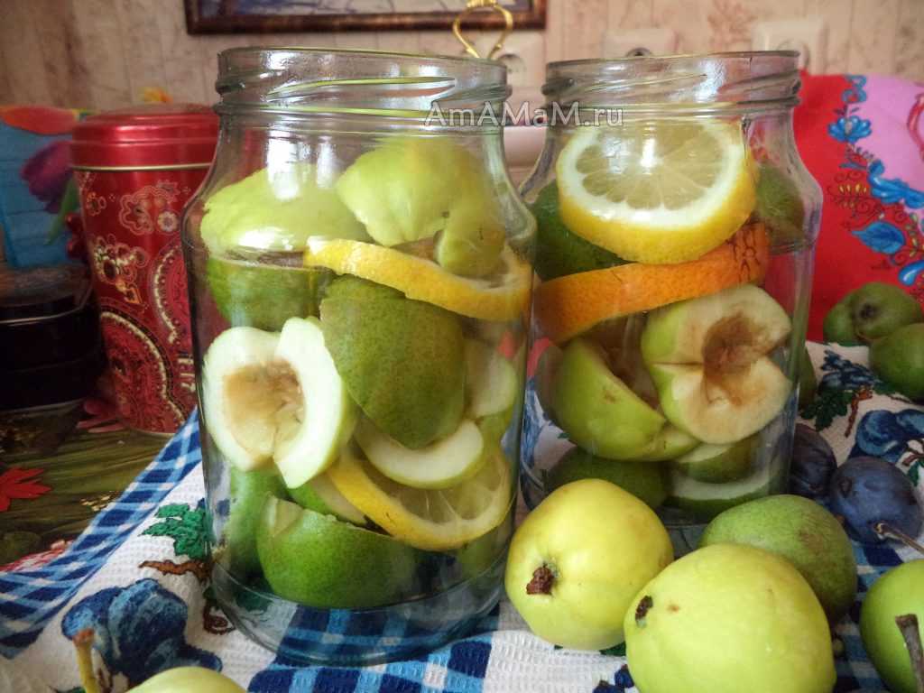 Как варить компот из яблок свежих быстро – как сварить компот из яблок в кастрюле вкусно и правильно