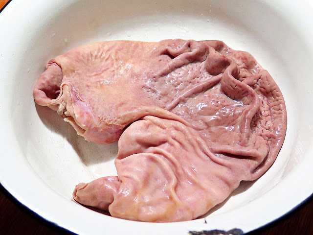 Сытный свиной фаршированный желудок несложного приготовления