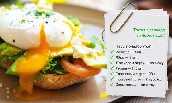 Бутерброды с авокадо: 20 вкусных и полезных рецептов для правильного питания
