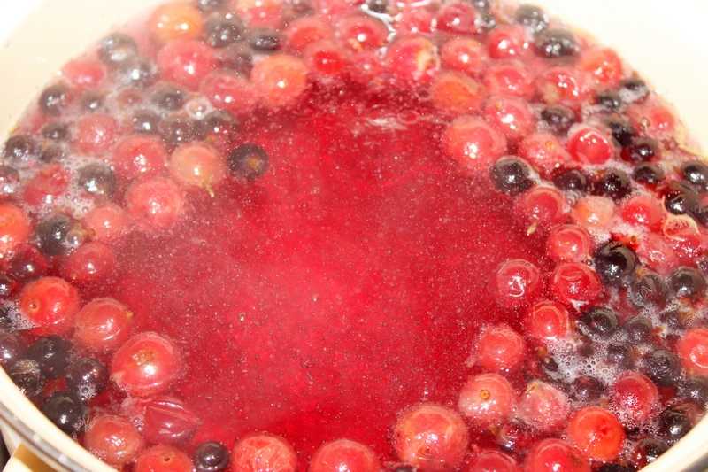 Компот из замороженных ягод — 7 рецептов, как сварить вкусный домашний компот - rus-womens