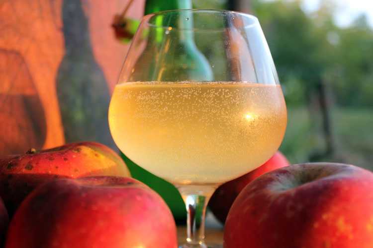 Простой рецепт самогона из яблок