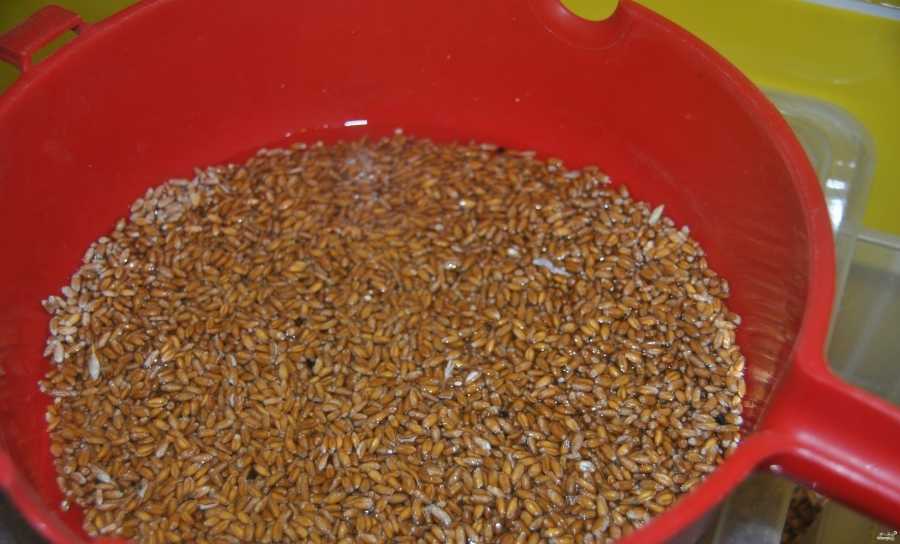 Рецепт приготовления самогона из пшеницы