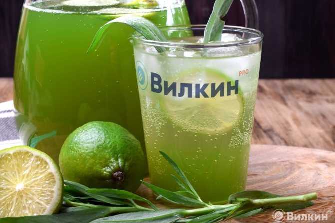 Лимонад тархун в домашних условиях: рецепт вкусного напитка