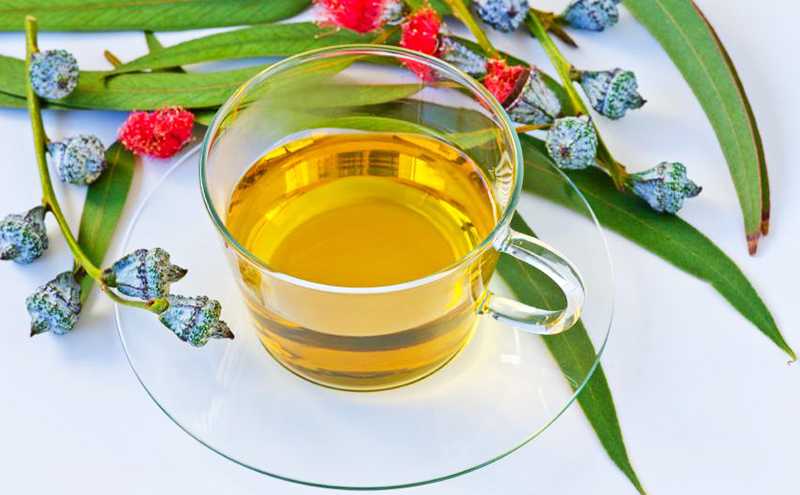 Чай с кардамоном: полезные свойства и секреты приготовления